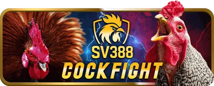 Chơi bắn cá trên di động 456win